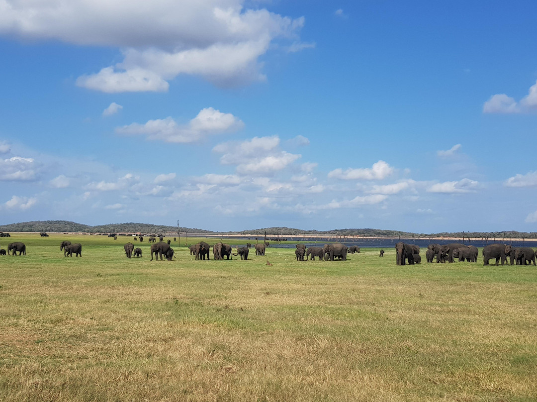 Best safaris- camping/birdwatching/safaris-哈巴拉娜必去景点