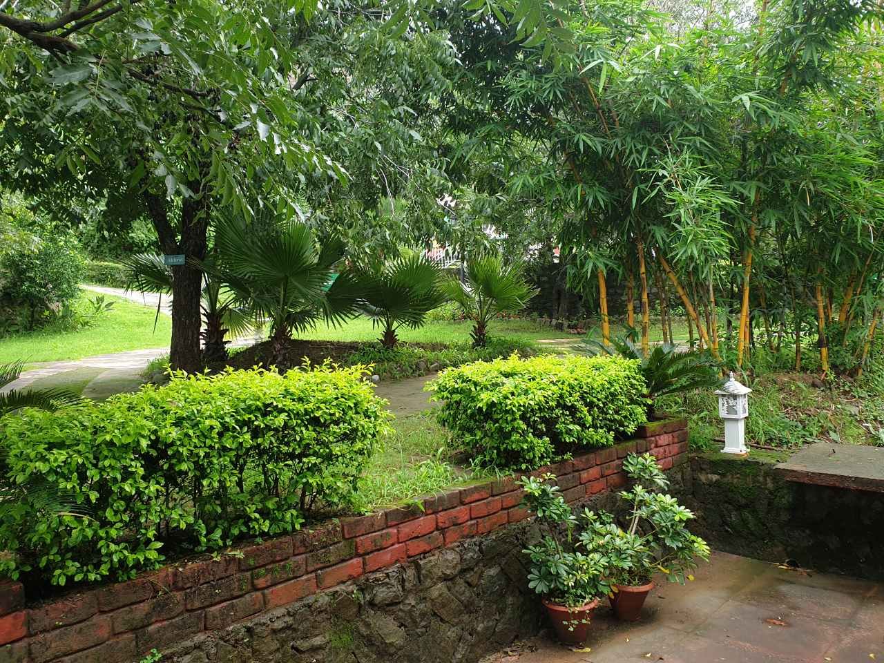 Ramshehar Fort Resort-酒店景观
