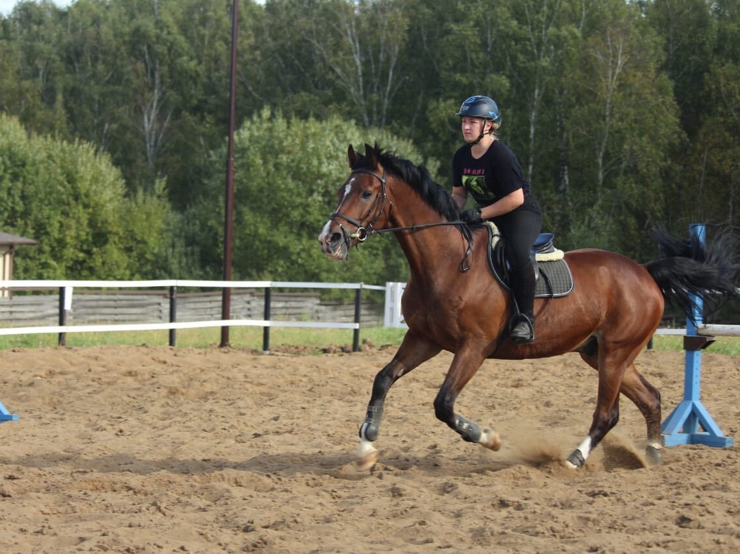 Equestrian Club Captain景点图片