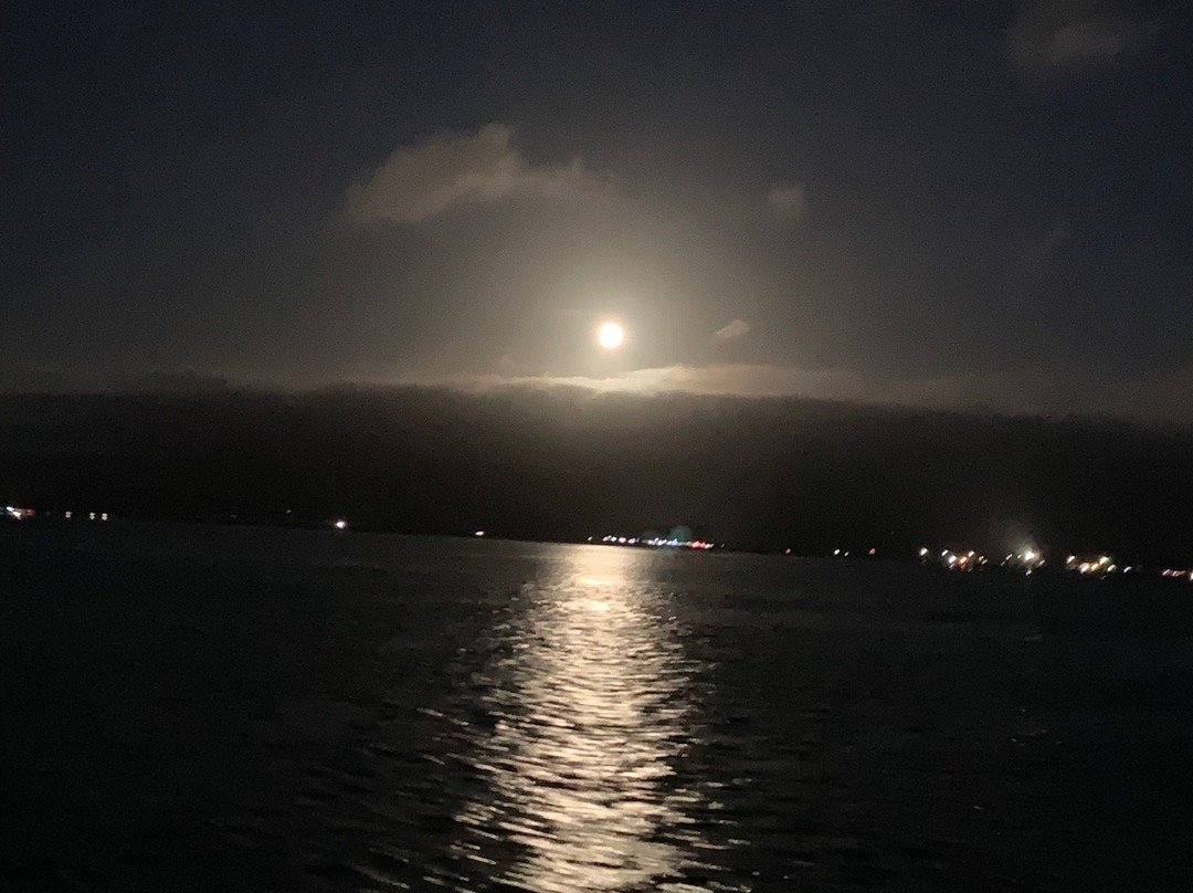 Humboldt Bay Harbor Cruise - Madaket景点图片