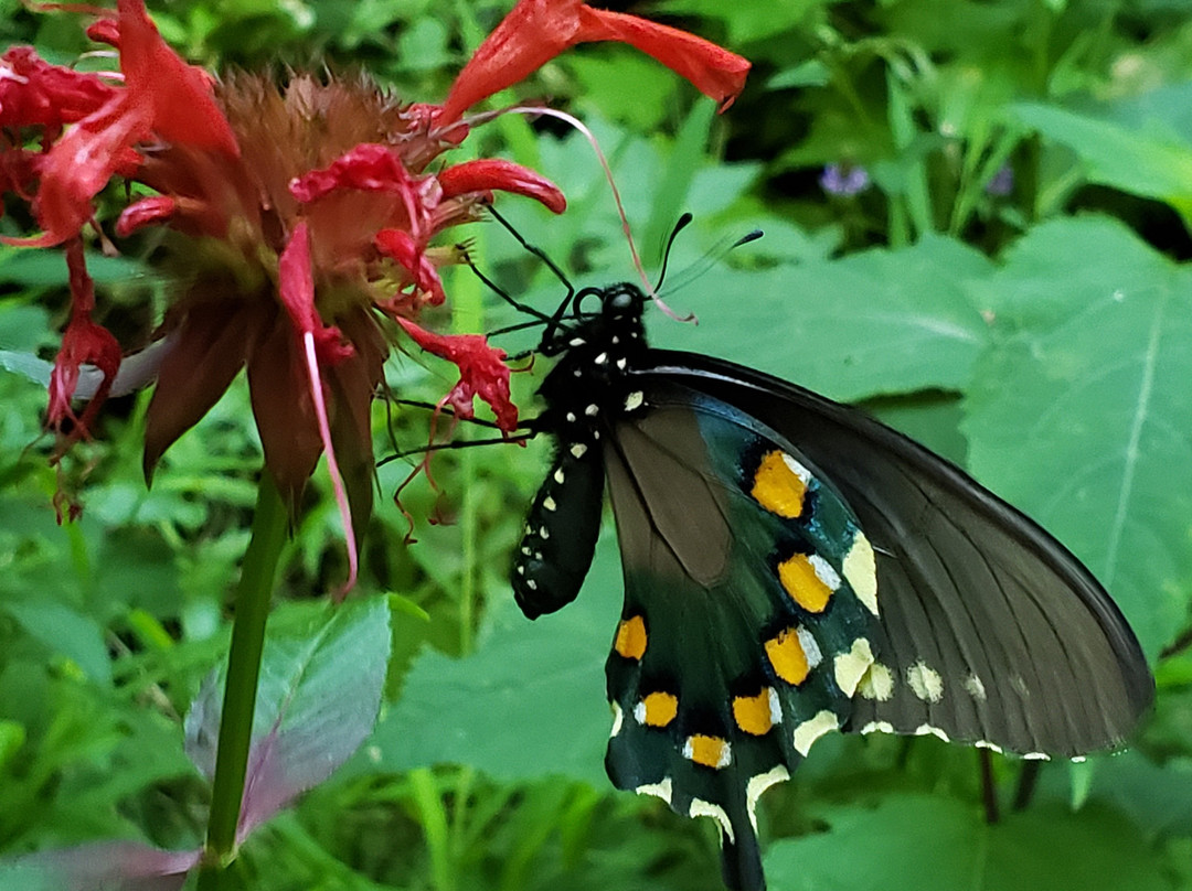 Walker Falls-Barnardsville必去景点
