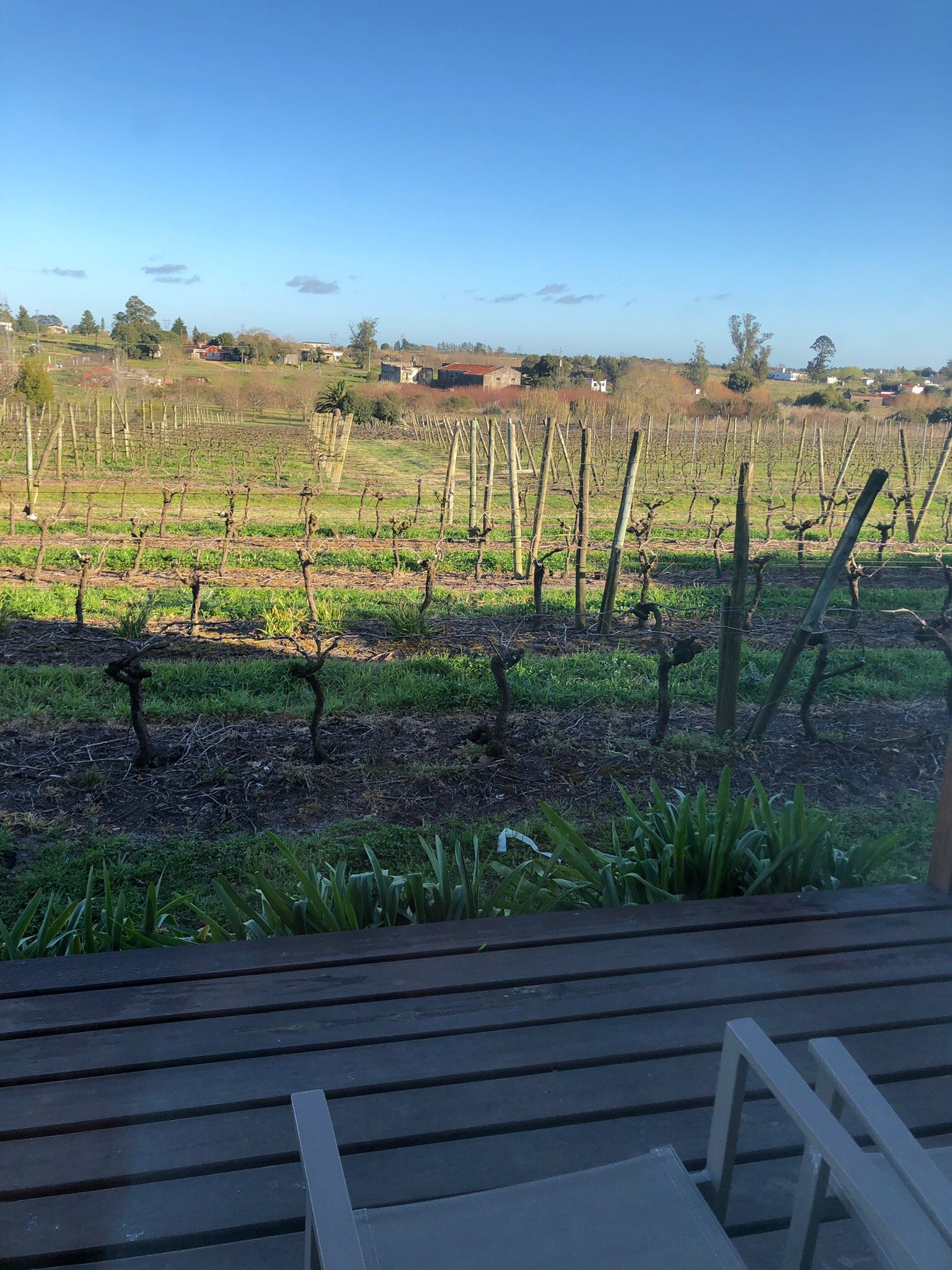 Pizzorno Lodge & Wine-官方