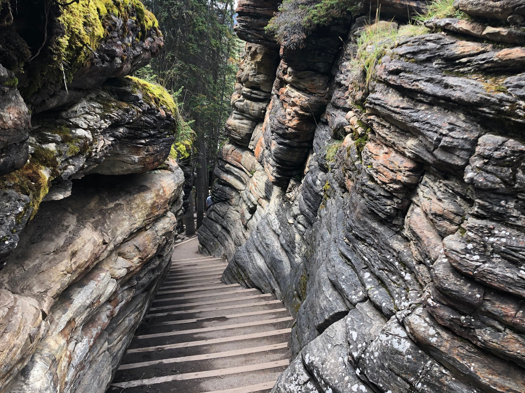 阿萨巴斯卡瀑布观景点-贾斯珀必去景点