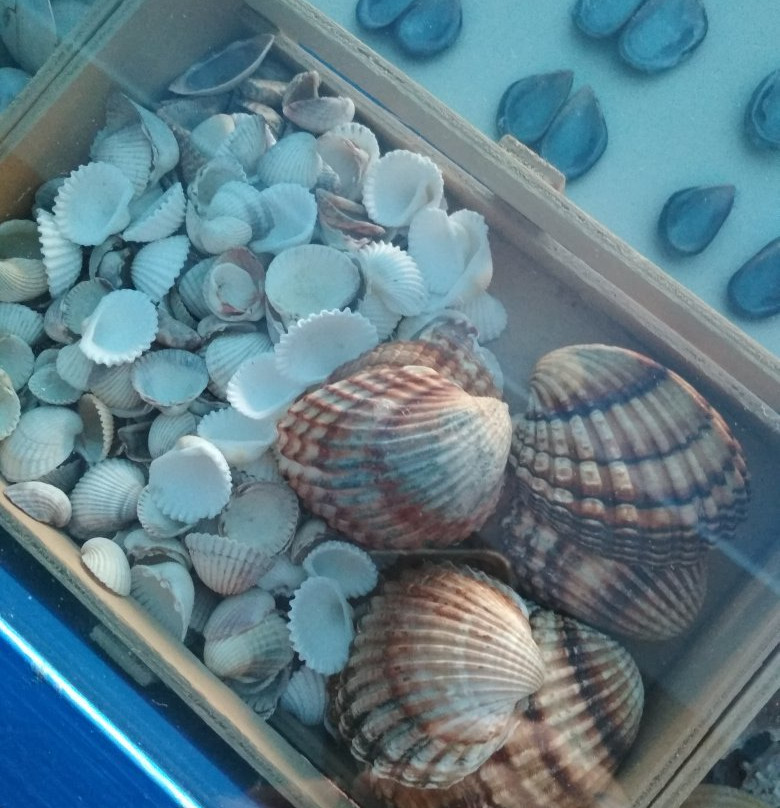 Kini Aquarium-Kini必去景点