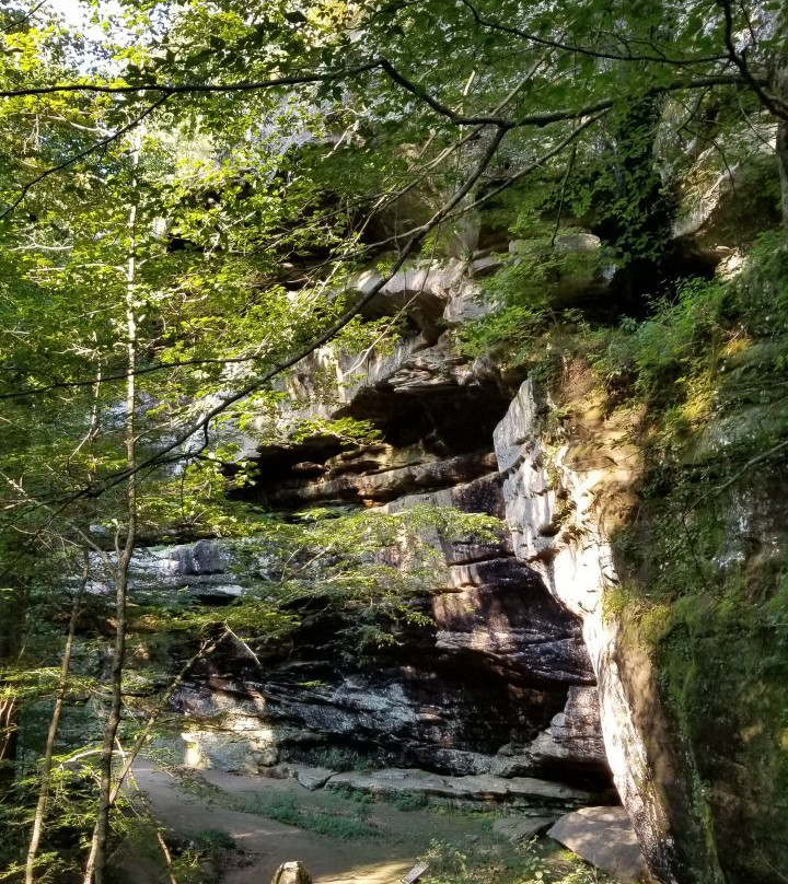 Rim Rock Recreational Area景点图片