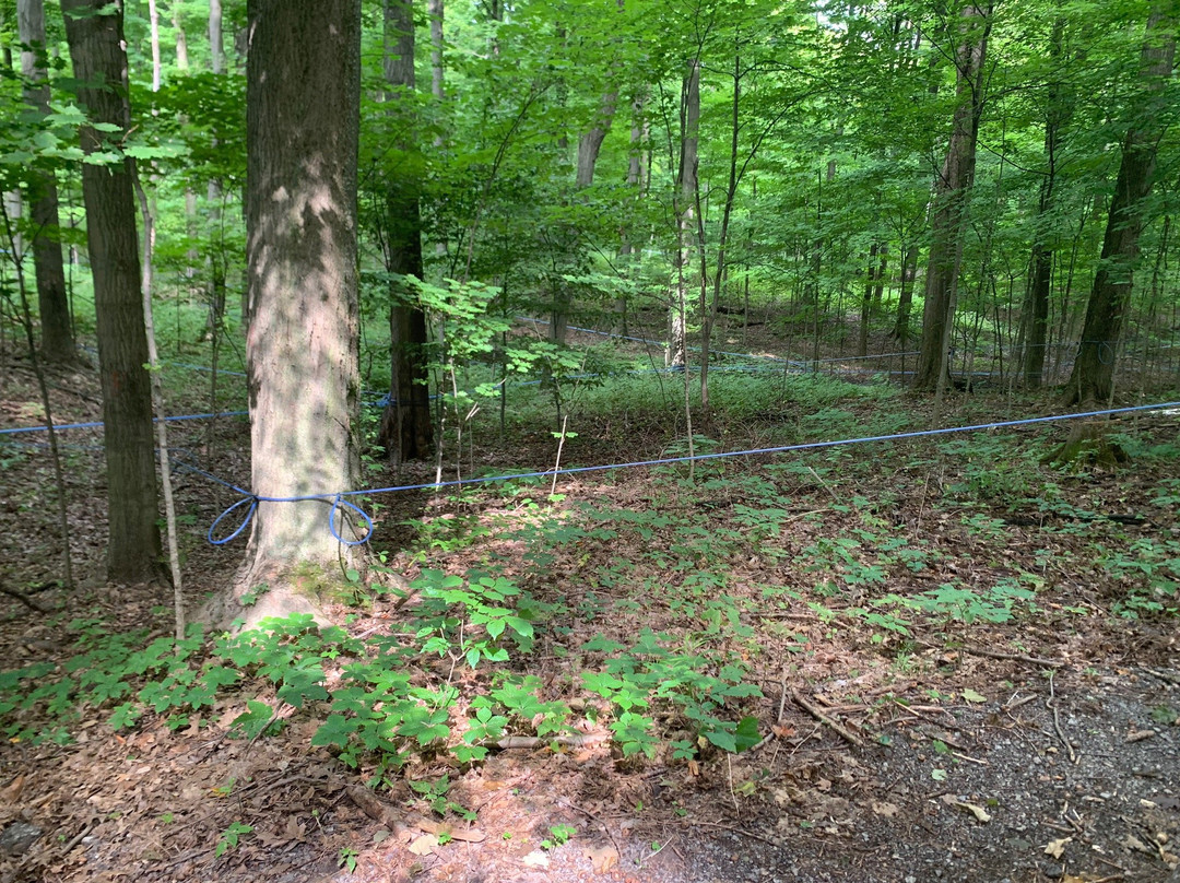 White Meadows Farms-Pelham必去景点