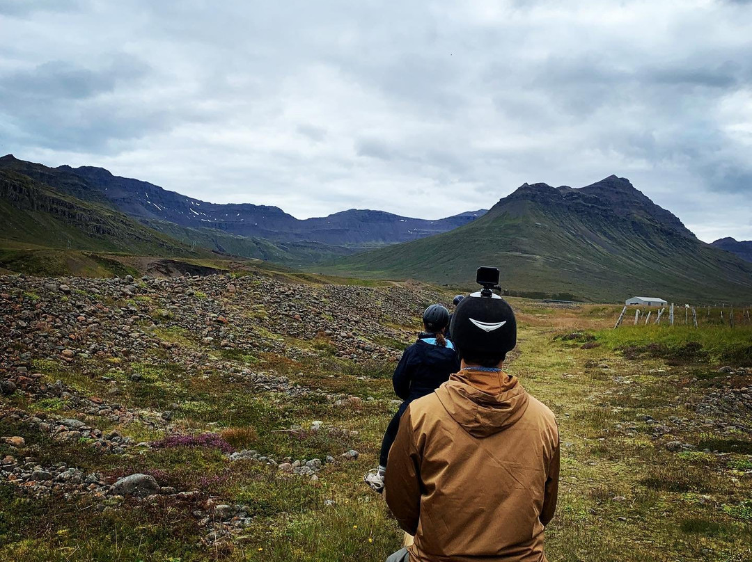 Skorrahestar - Riding Tours-内斯克伊斯塔泽必去景点