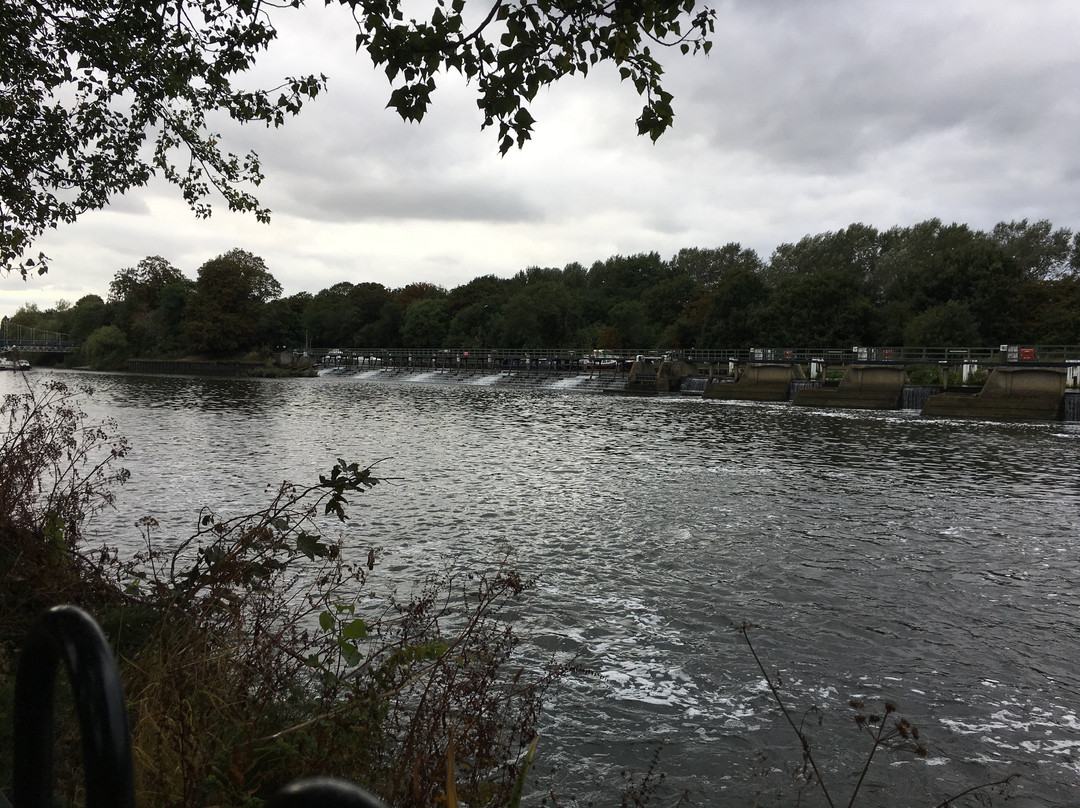 The Lensbury Resort主图