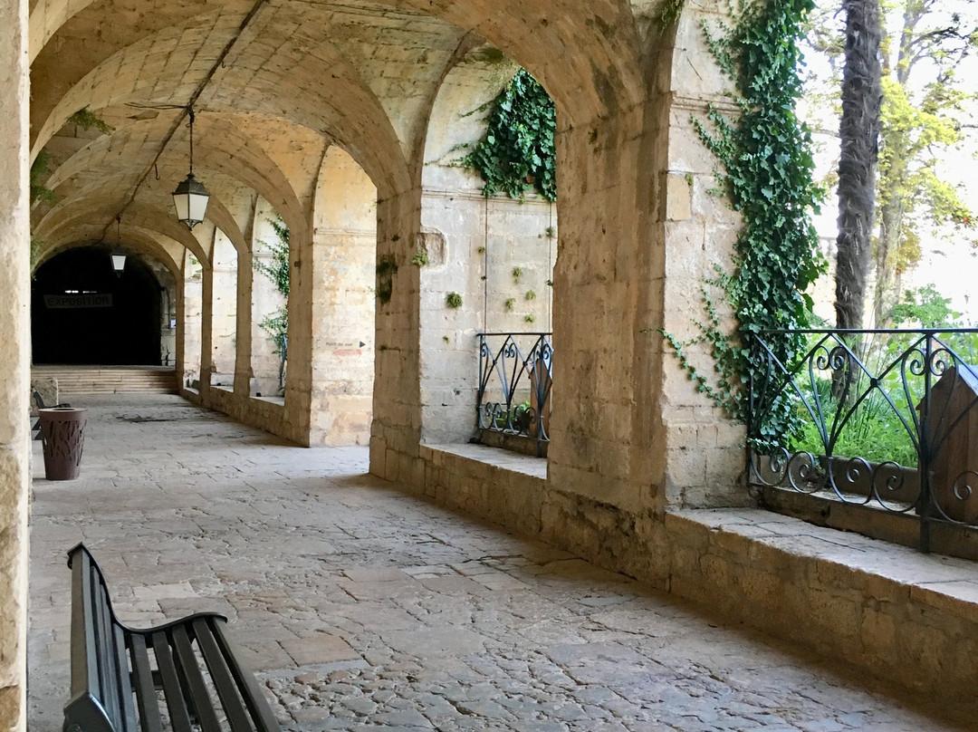 Chateau de Fumel景点图片