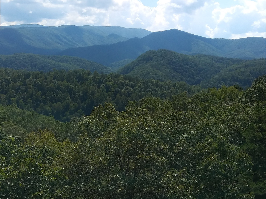 Smoky Mountain Ziplines景点图片