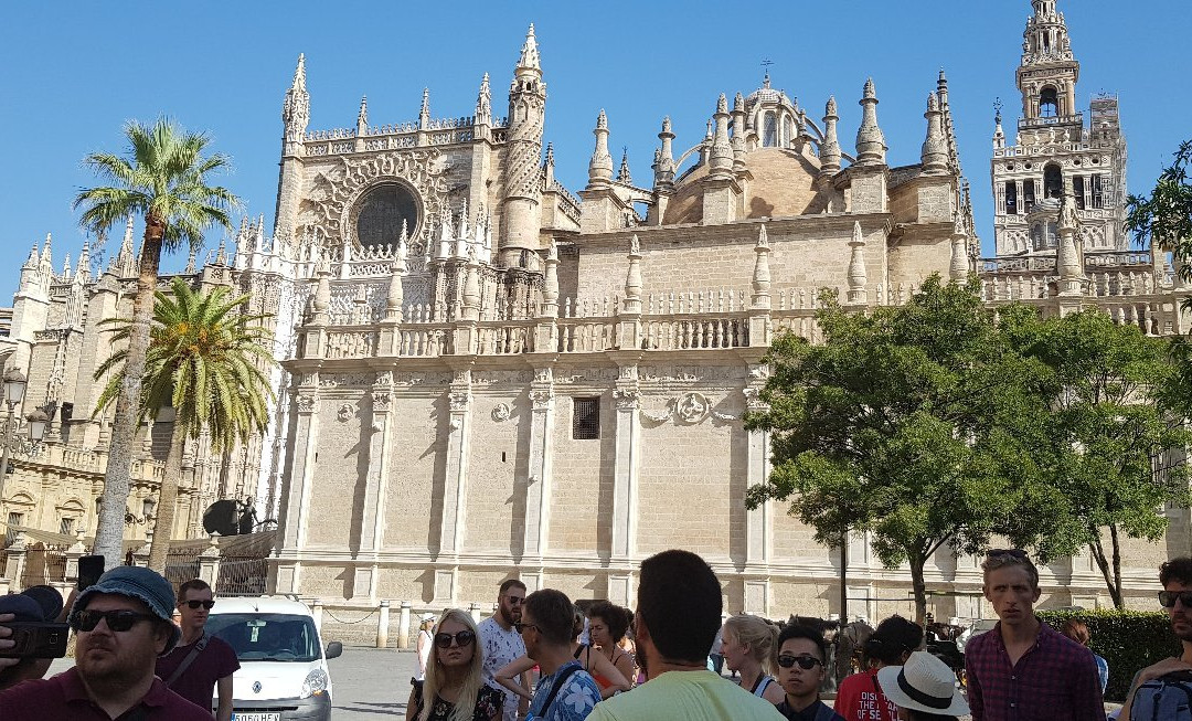 Free Walking Tour Sevilla景点图片