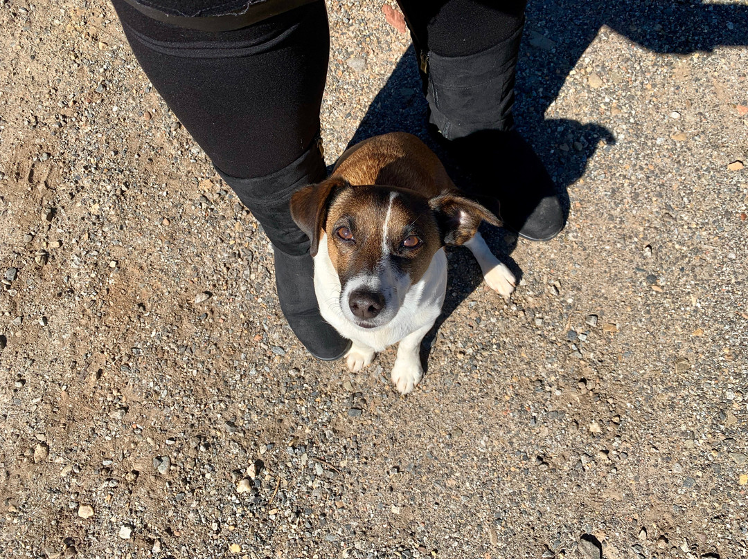 Mt Buffalo Olives-Porepunkah必去景点