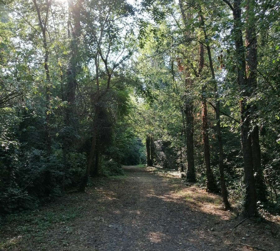 Riserva Naturale Isola Boschina景点图片