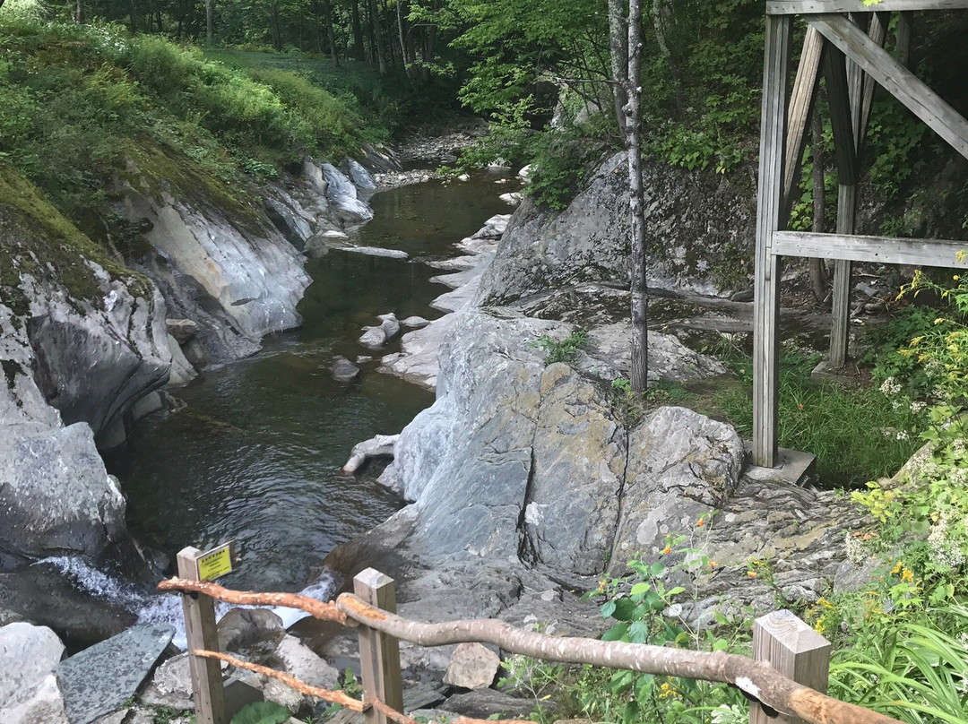 The Warren Store-Warren必去景点