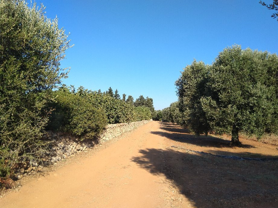 Bio Masseria La Cimarra
