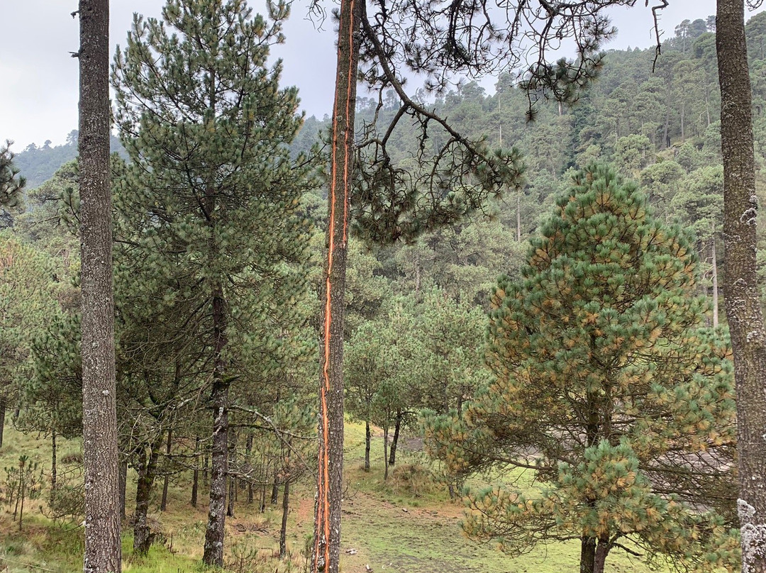 Cumbres Del Ajusco National Park-墨西哥城必去景点