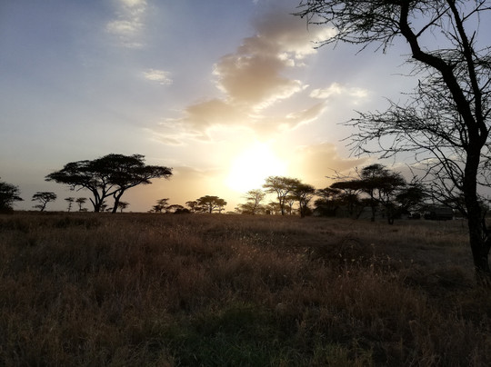 Elyon Tours - Day Tours-阿鲁沙必去景点