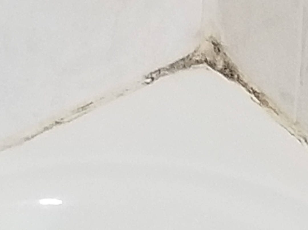 Quality Inn Rivière-du-Loup主图