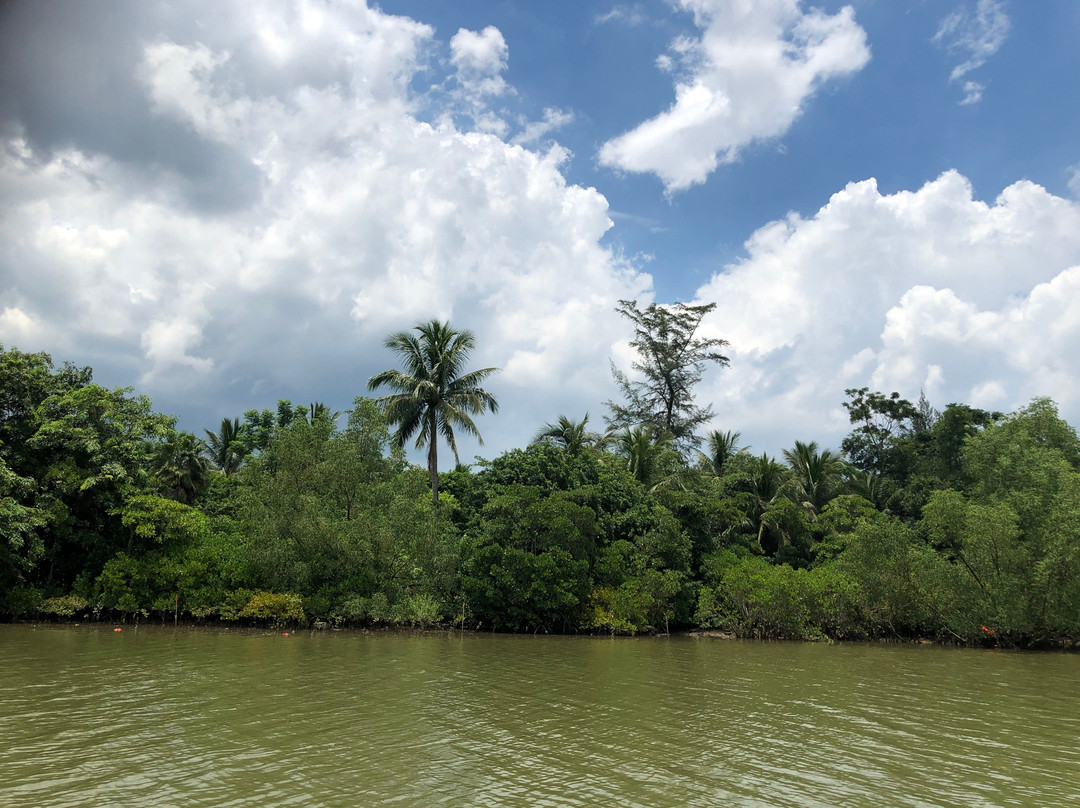 海口红树林-海口市必去景点