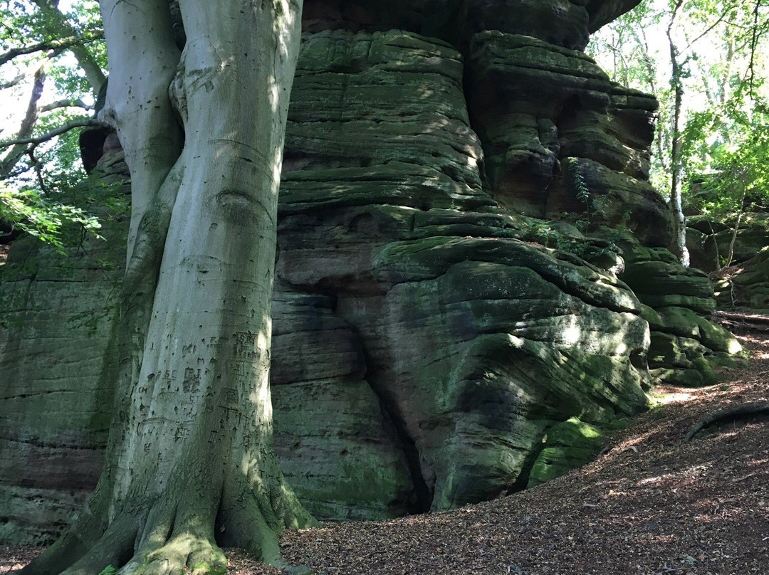 Plumpton Rocks-Knaresborough必去景点