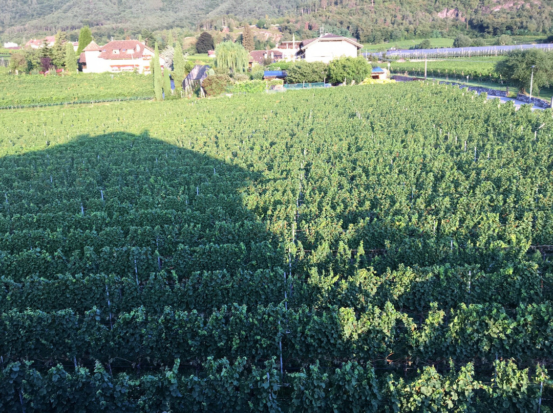 Gastehaus Mair主图