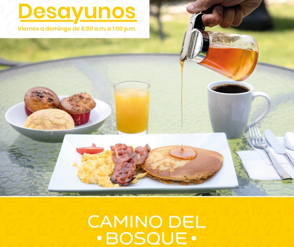 圣佩德罗乔卢拉酒店住宿-Hotel Boutique Camino del Bosque