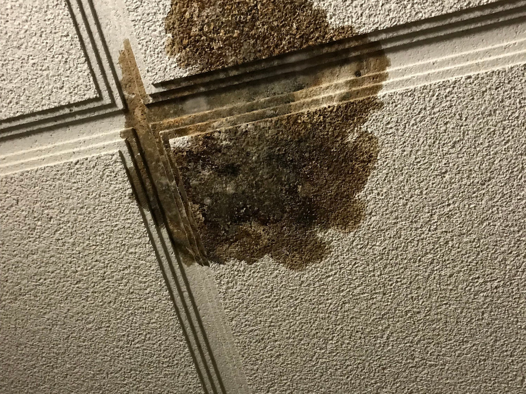 埃尔帕索机场浩枫温德姆公寓店主图