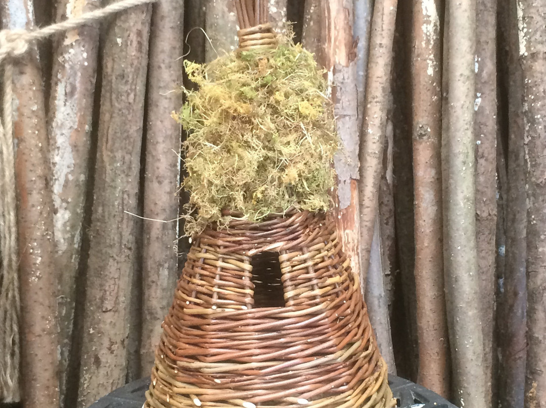 Mull Willow-Ardtun必去景点