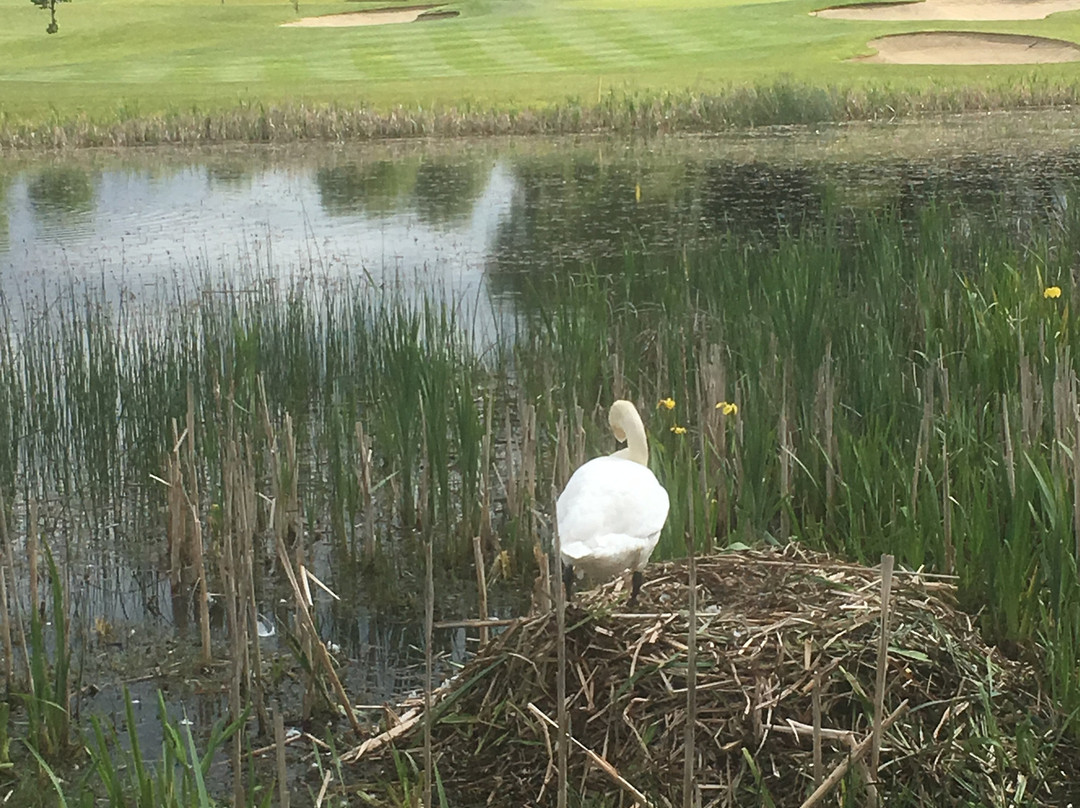 Grange Castle Golf Club