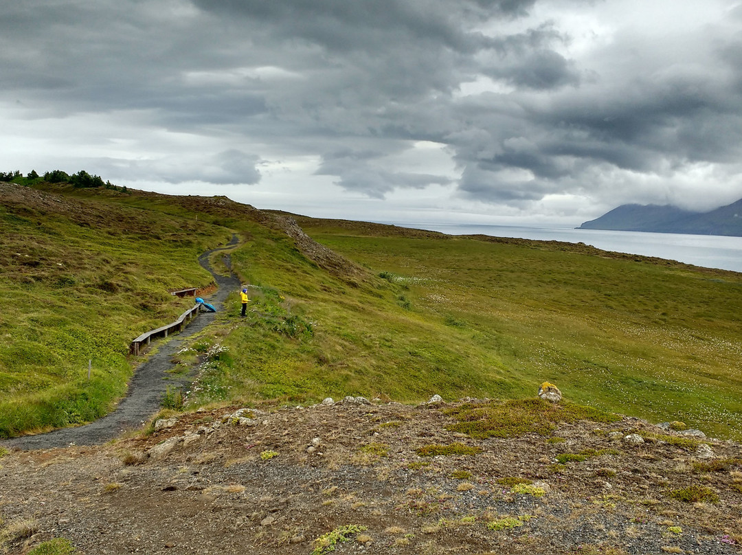 Hrisey Ferry-Hrisey Island必去景点