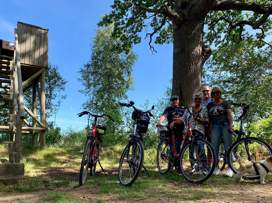 Fahrradverleih BalticBike MV景点图片