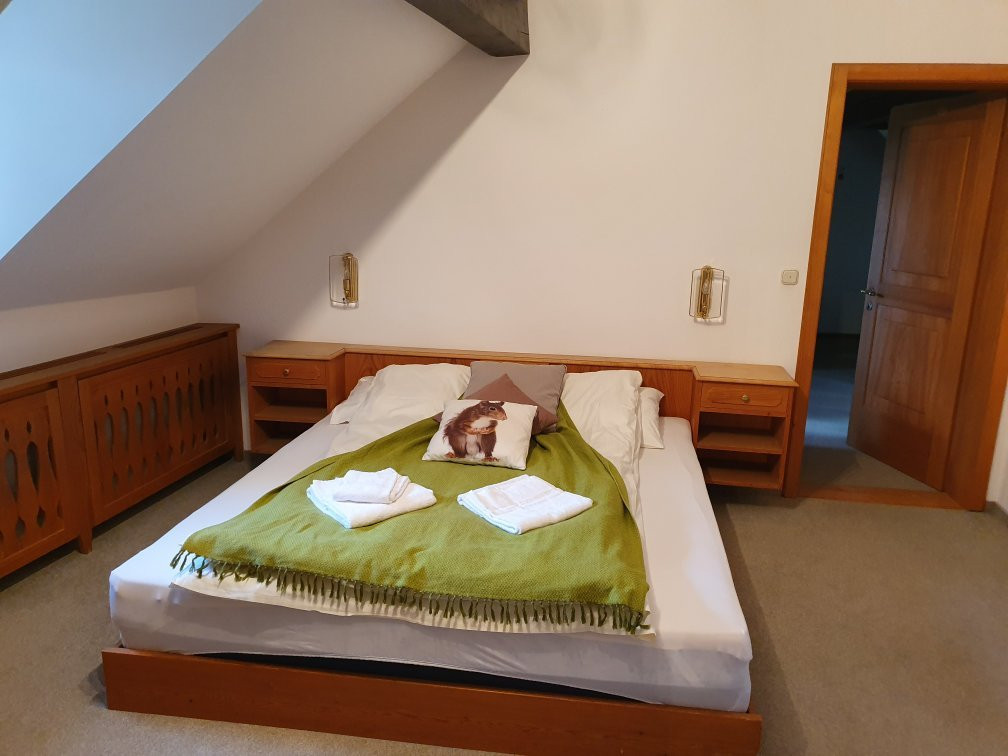 Bodele Alpenhotel主图
