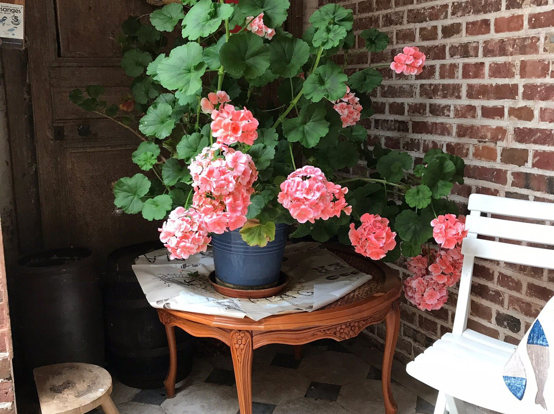 Phare de Fatouville主图