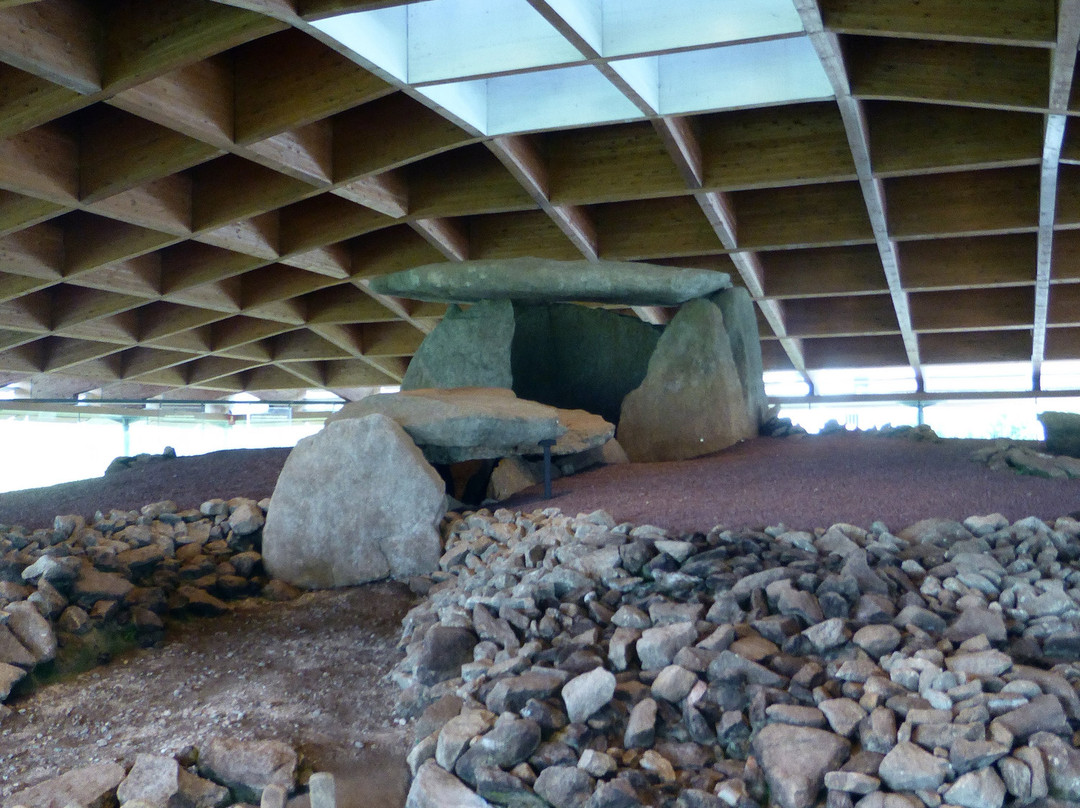 Dolmen de Dombate景点图片