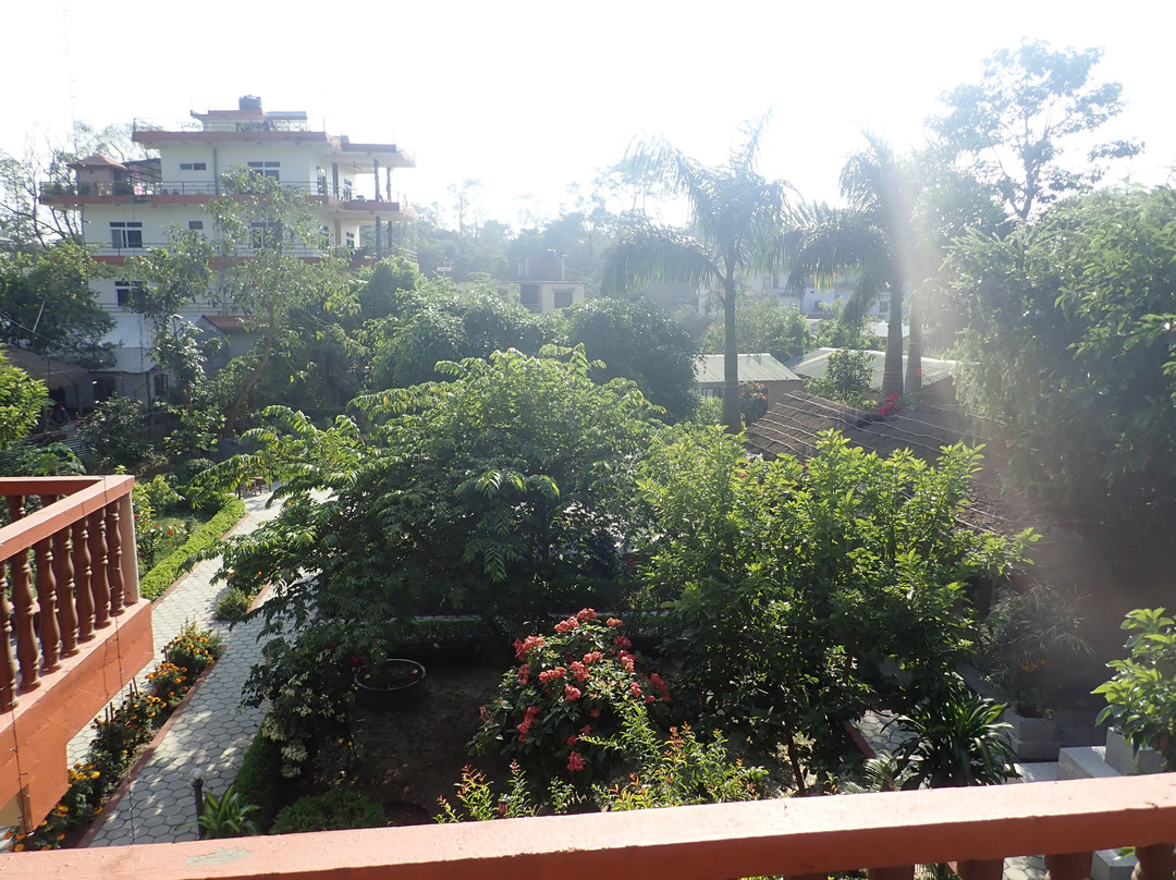 伊甸园丛林度假村主图