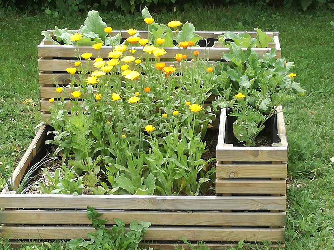 Vinay酒店住宿-维尔内酒店
