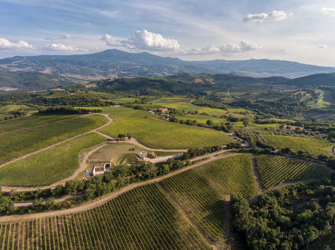 San Polo Montalcino