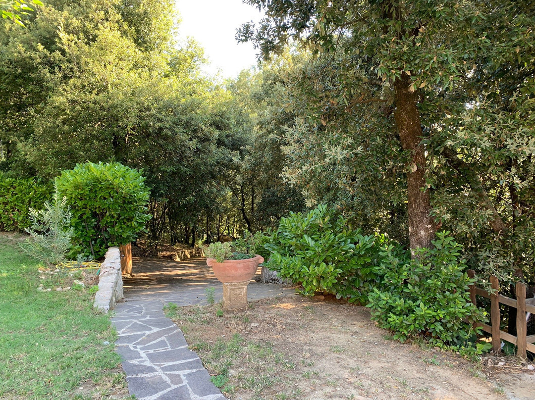 Bed and Breakfast Spring主图