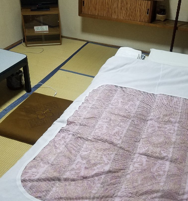 Ekimae Ryokan主图