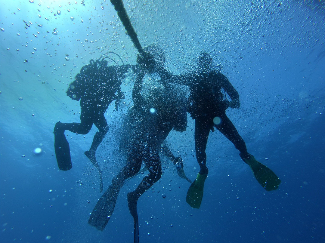 Diving Santa Teresa Gallura-圣特雷莎加卢拉必去景点