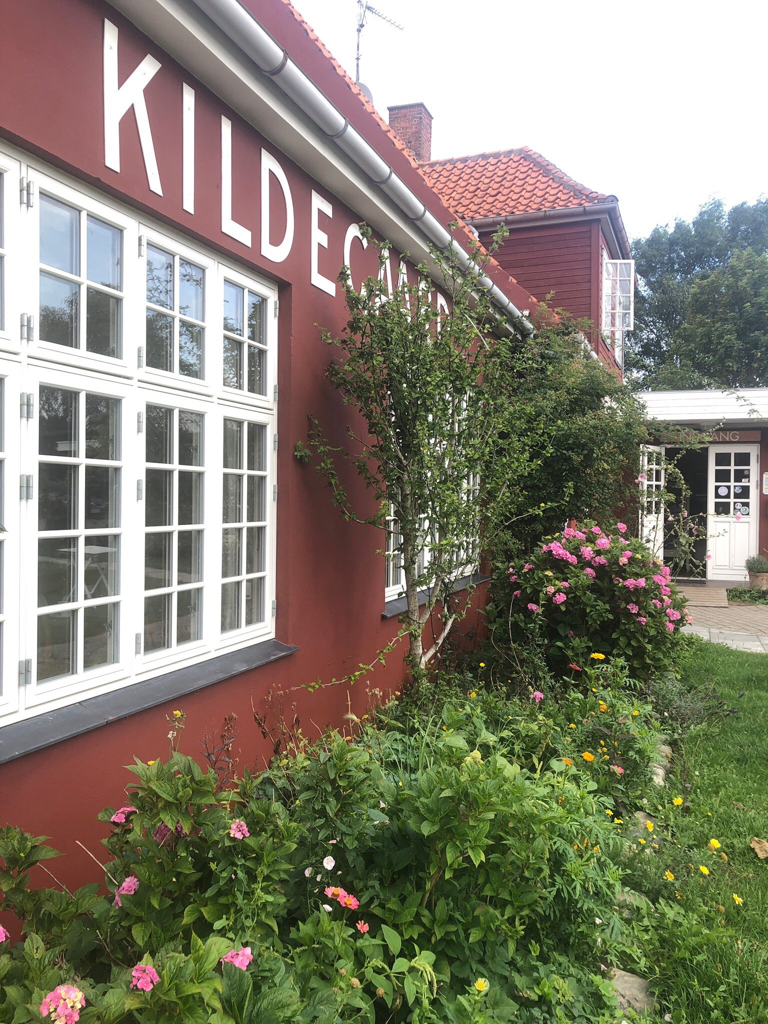 Kildegaard-官方