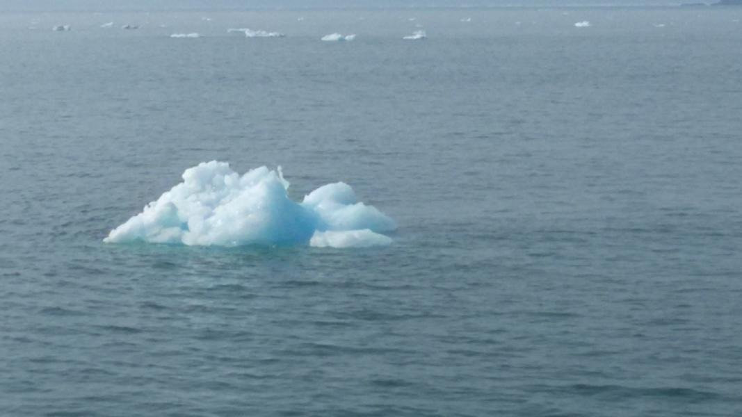 Alaska Ferry-惠提尔必去景点