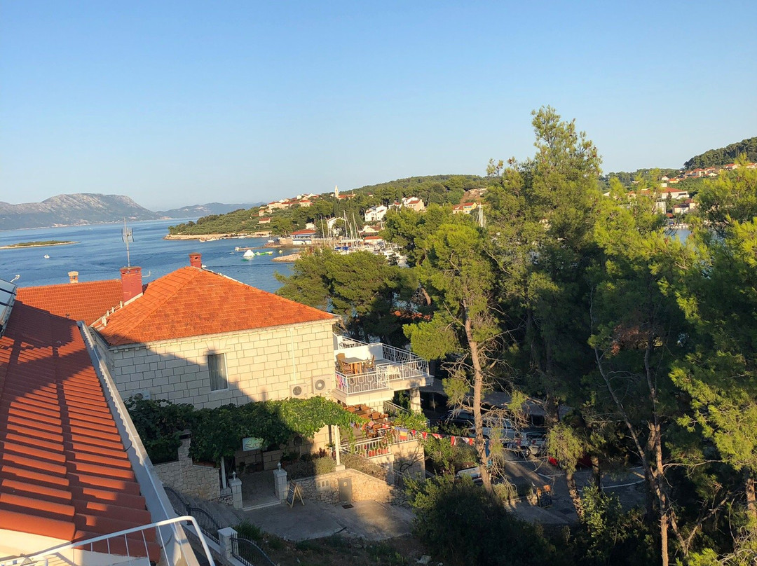 Guest House Lovric主图