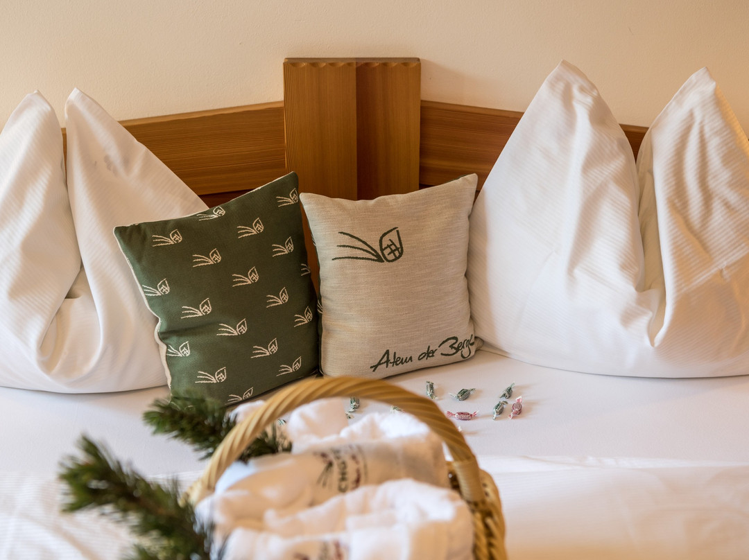 Eschgfeller - Atem der Berge主图