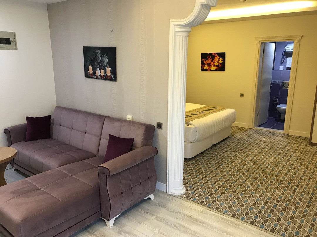 GRAND ALİ'N HOTEL TOKAT主图