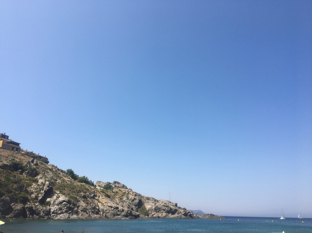 SK Kayak景点图片