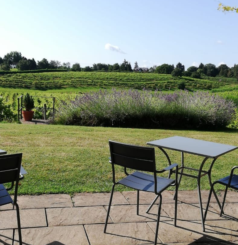 Three Choirs Vineyard-Newent必去景点