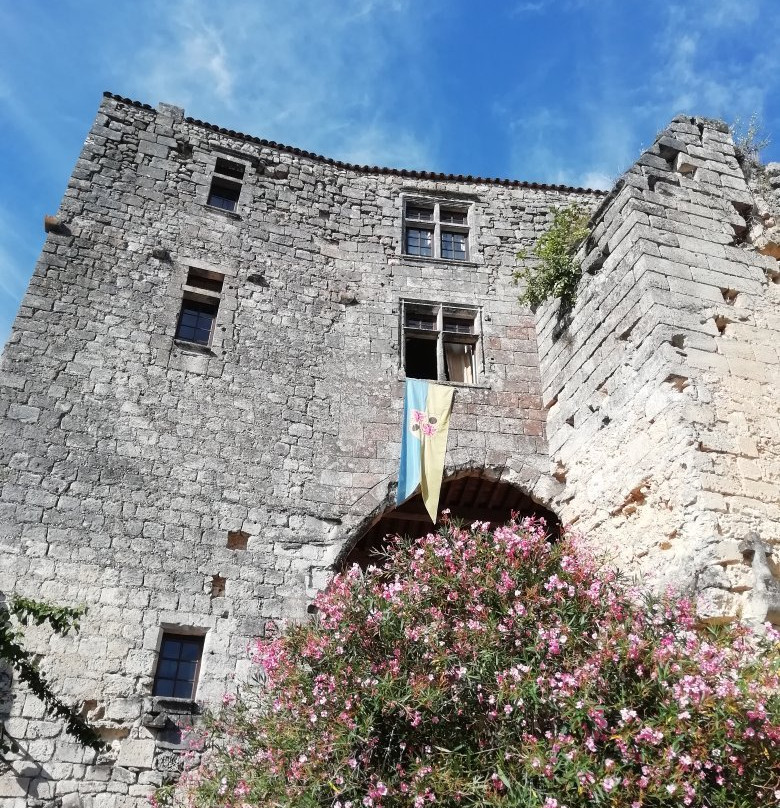 Chateau de Langoiran主图