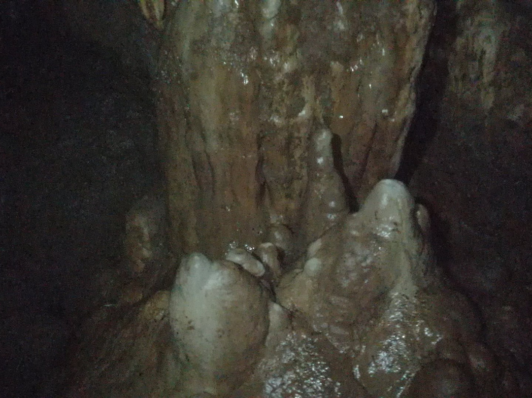 Grutas de Cocona-塔巴斯科必去景点