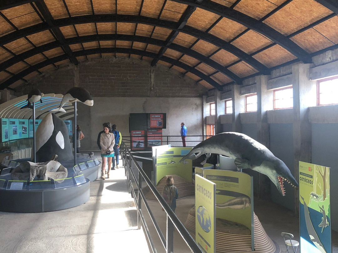 Ballenera Quintay-Quintay必去景点